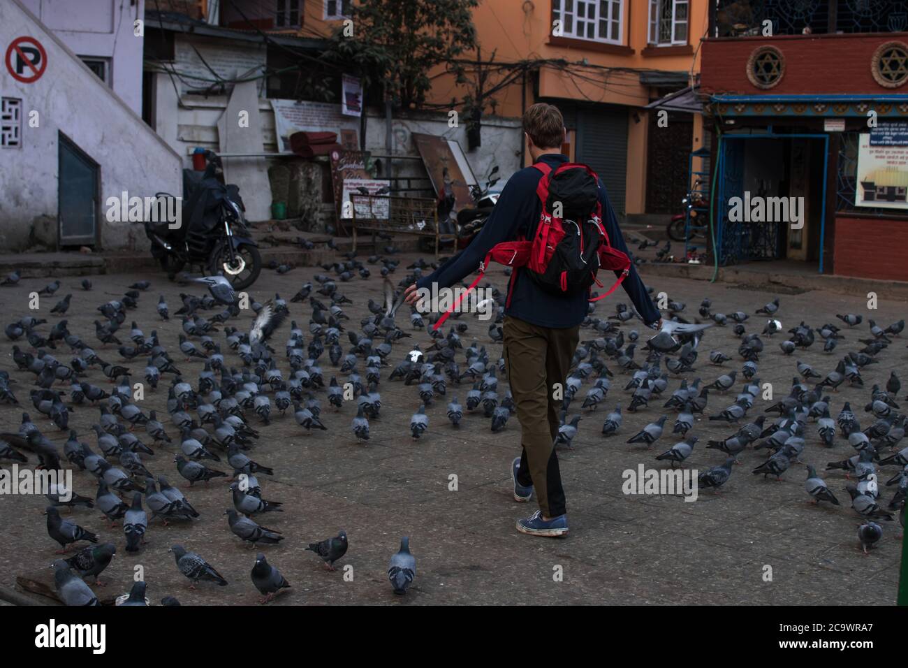 Ein junger Mann erschreckt viele Tauben, indem er sie auf einem zentralen Platz in Kathmandu, Nepal, zu Fuß erreicht Stockfoto