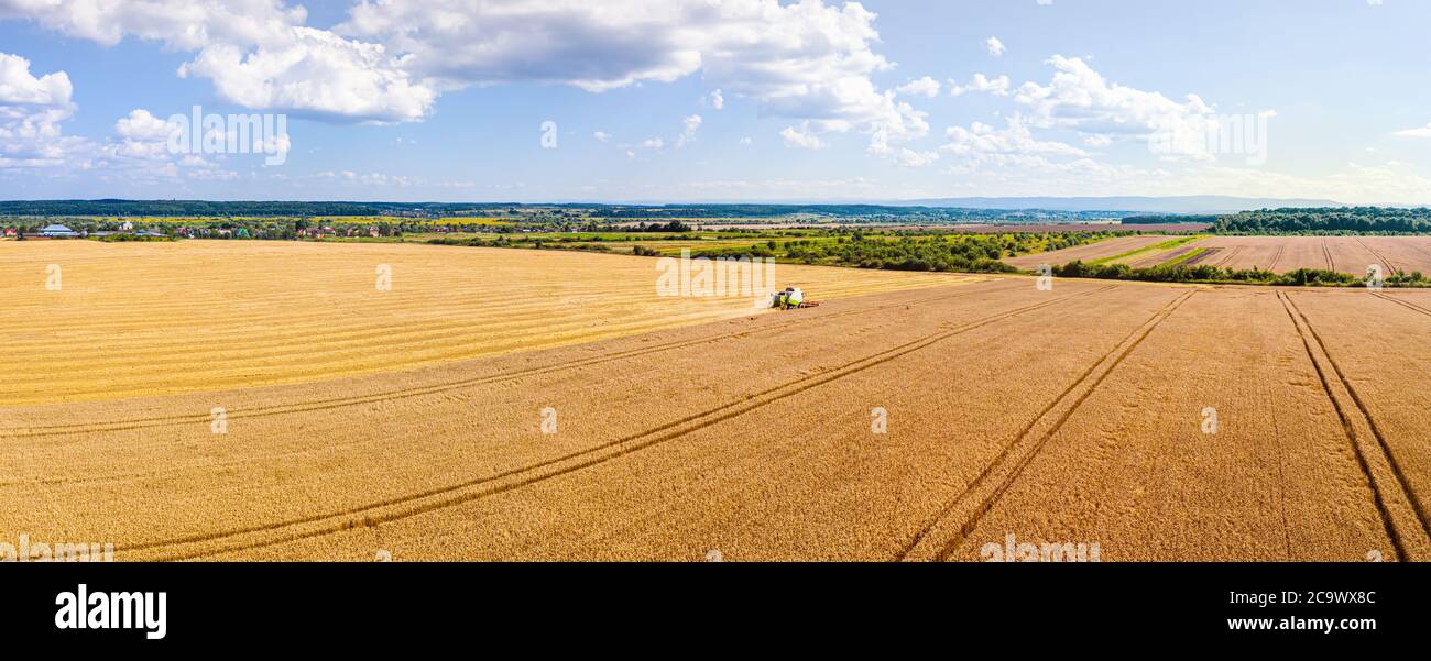 Landwirtschaftliche Maschinen auf dem Ackerland. Mähdrescher erntet Getreide in einem Weizenfeld. Vogelperspektive auf schöne Sommerlandschaft Landschaft. Stockfoto