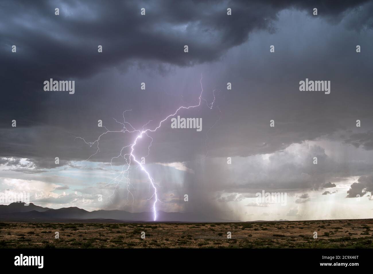 Gewitter der Monsunsaison über den Chiricahua Mountains in der Nähe von Willcox, Arizona Stockfoto