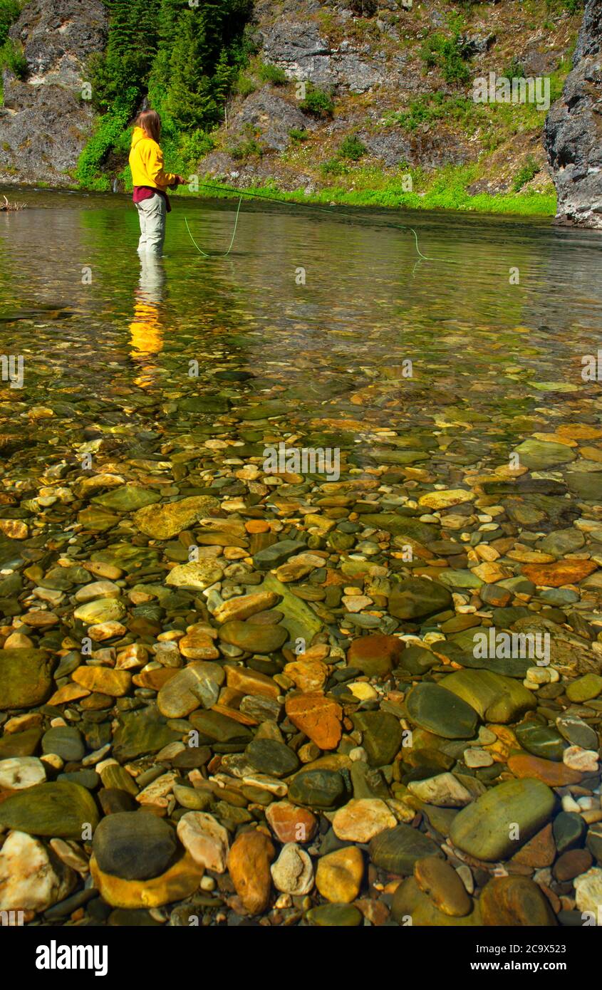 Flyfishing the St. Joe Wild and Scenic River, St. Joe National Forest ...