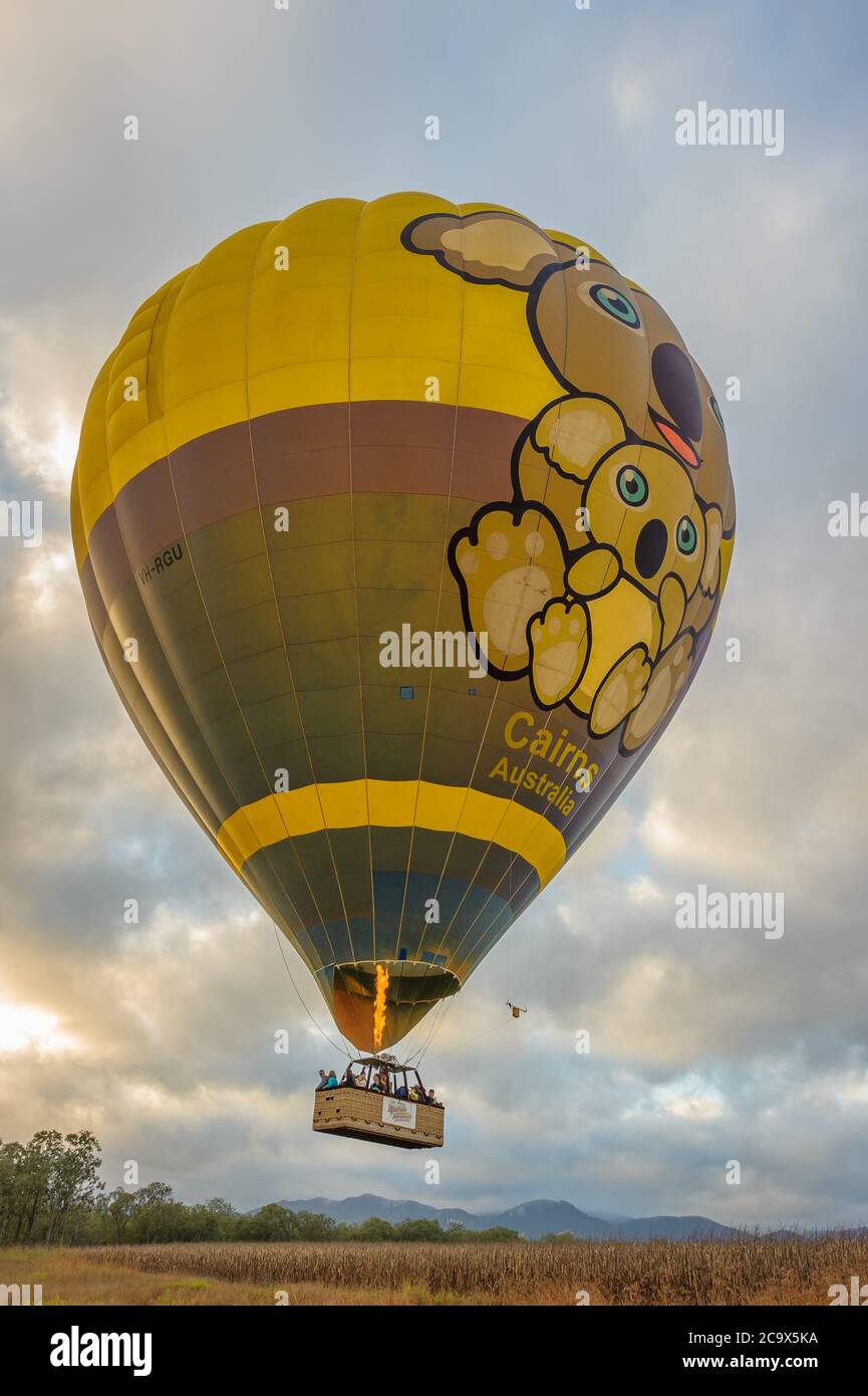 Ein farbenfroher Ballon mit Touristen beginnt sein Abenteuer im Morgengrauen, das langsam über Bäumen und einer Landstraße in Mareeba, Queensland, Australien, aufsteigt. Stockfoto