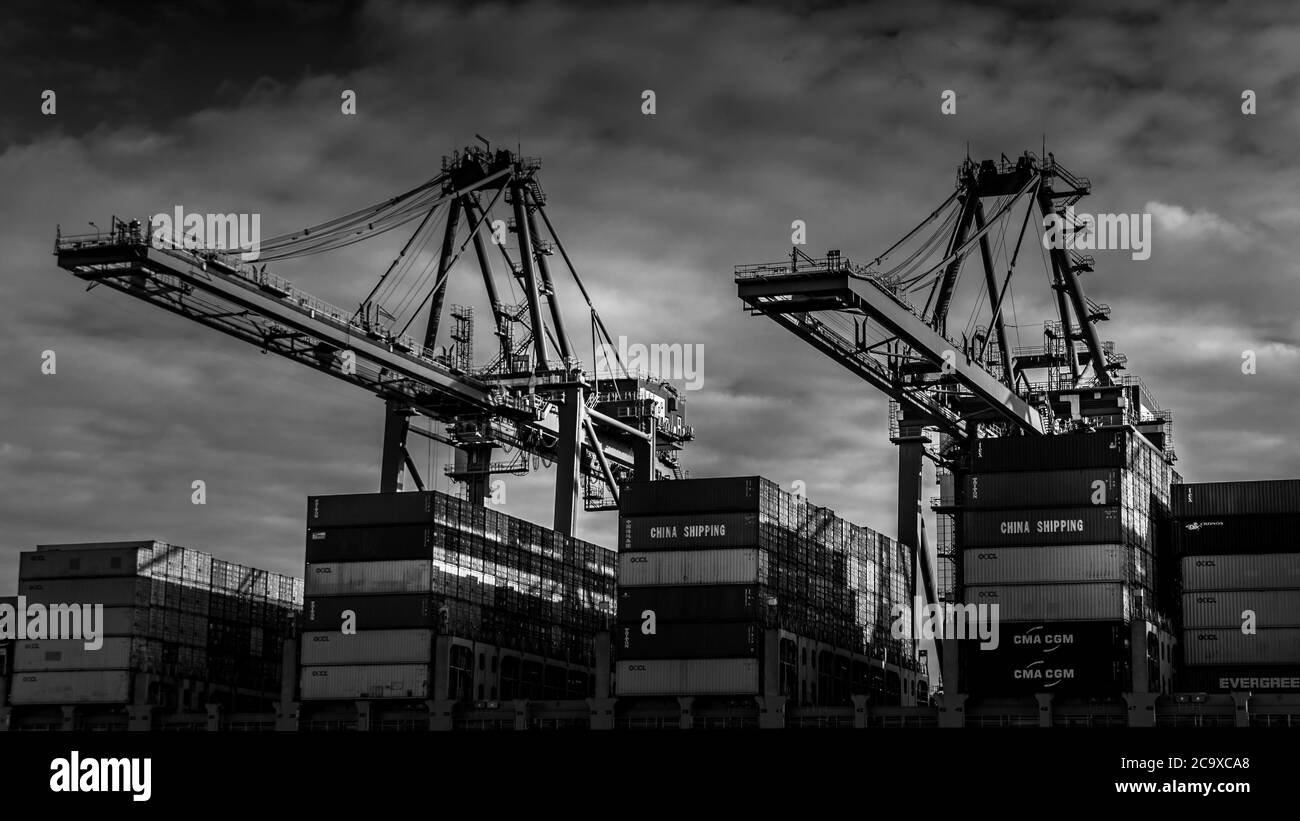 Schwarz-Weiß-Foto von Container Port mit den großen Containerkranen, die einen Ocean Going Frachter im Hafen von Vancouver verladen Stockfoto