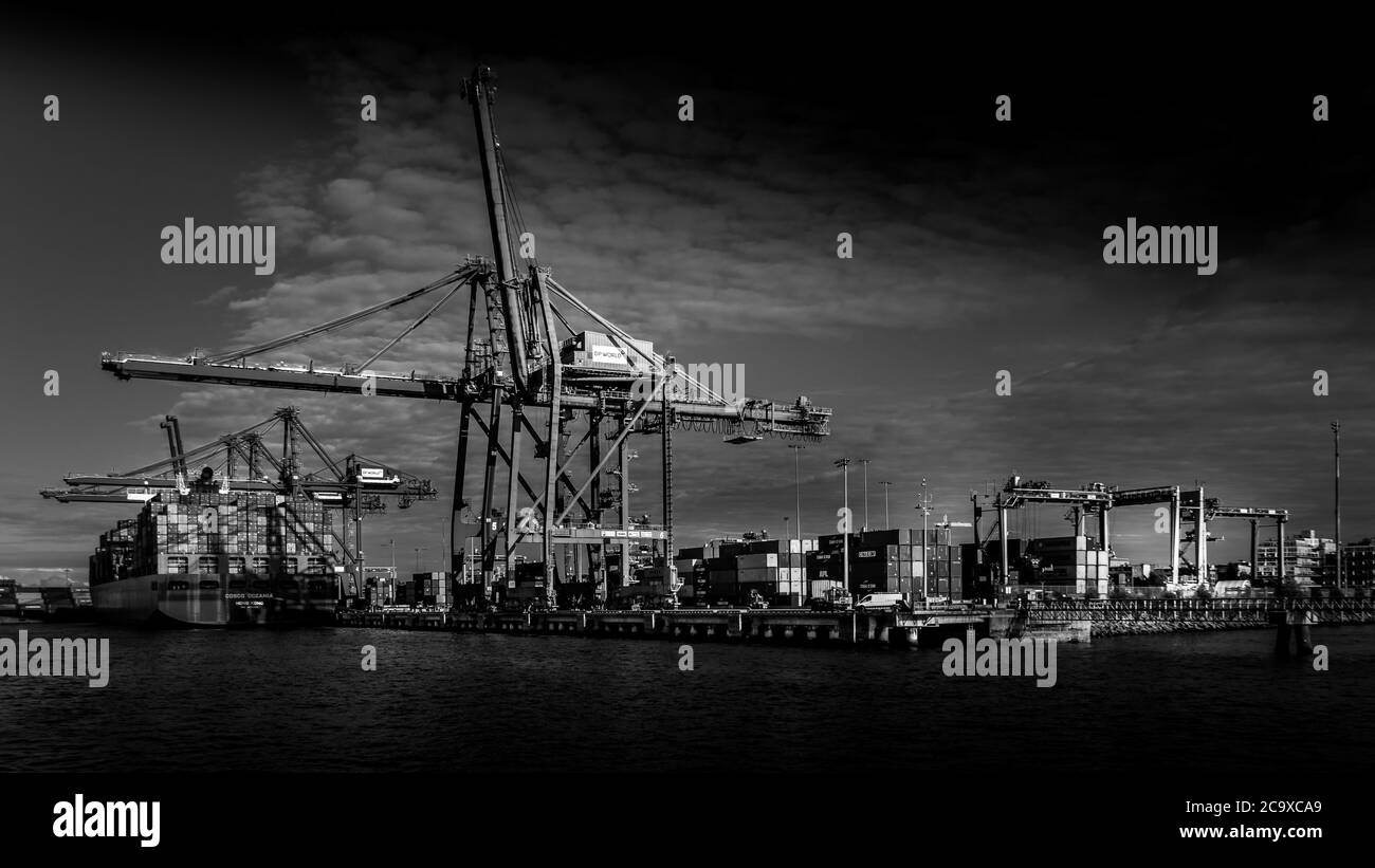 Schwarz-Weiß-Foto von Container Port mit den großen Containerkranen, die einen Ocean Going Frachter im Hafen von Vancouver verladen Stockfoto