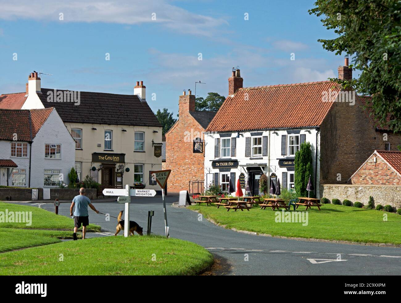 Mann Wanderhund im Dorf North Newbald, East Yorkshire, England Stockfoto