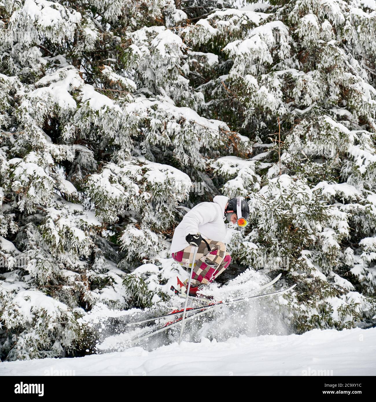 Skifahrer in weißen Jacke und Helm tun Tricks in den Bergen in der Wintersaison, Springen auf Hang Verschmelzung mit schönen schneebedeckten Fichtenwald Hintergrund. Seitenansicht. Konzept der Winter Arten von Sport. Stockfoto