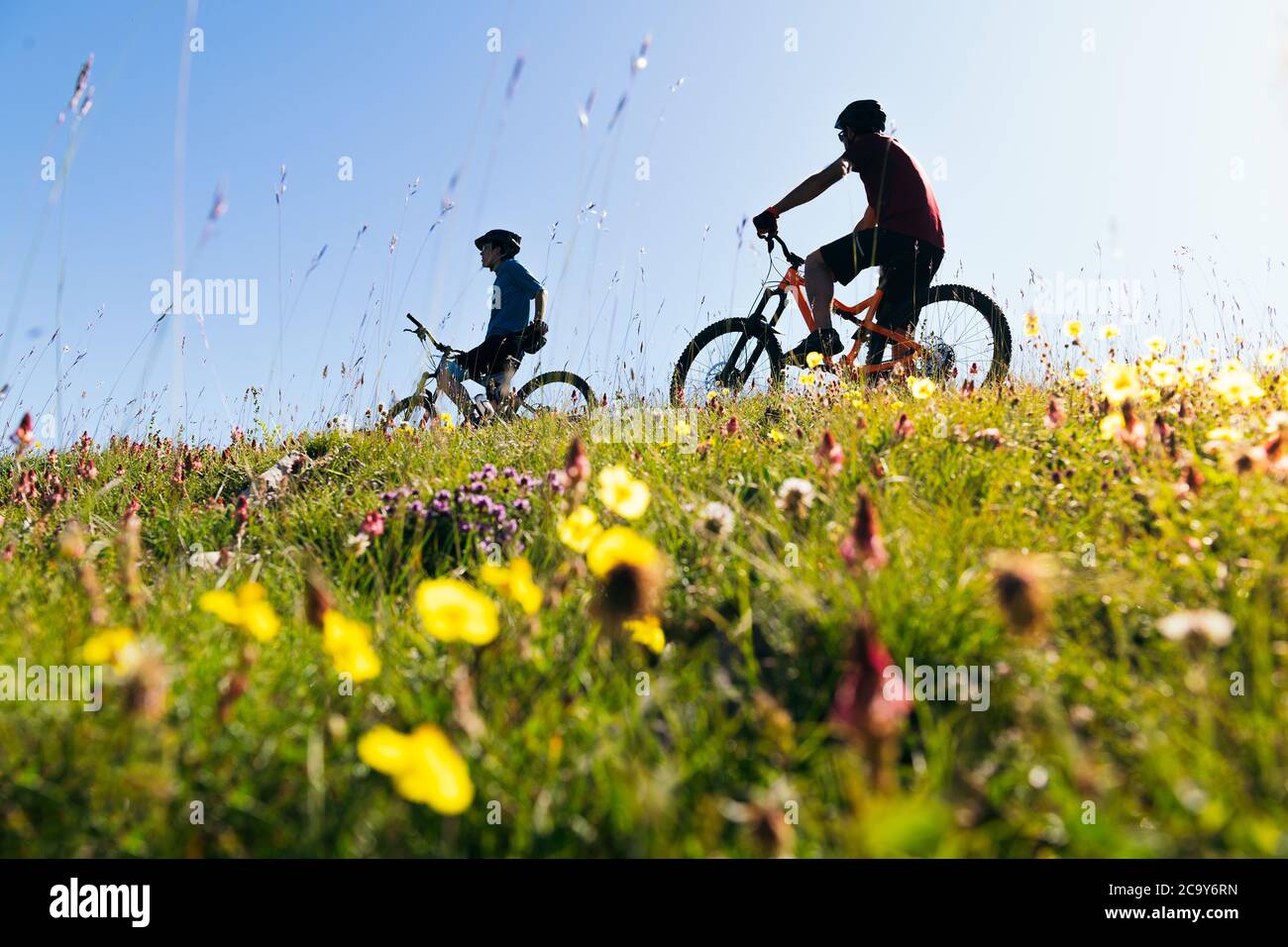 Silhouette von zwei jungen Männern mit ihren Mountainbikes in einer Blumenwiese, Konzept des Sports mit Freunden und gesunder Lebensstil in der Natur, Copy Space fo Stockfoto