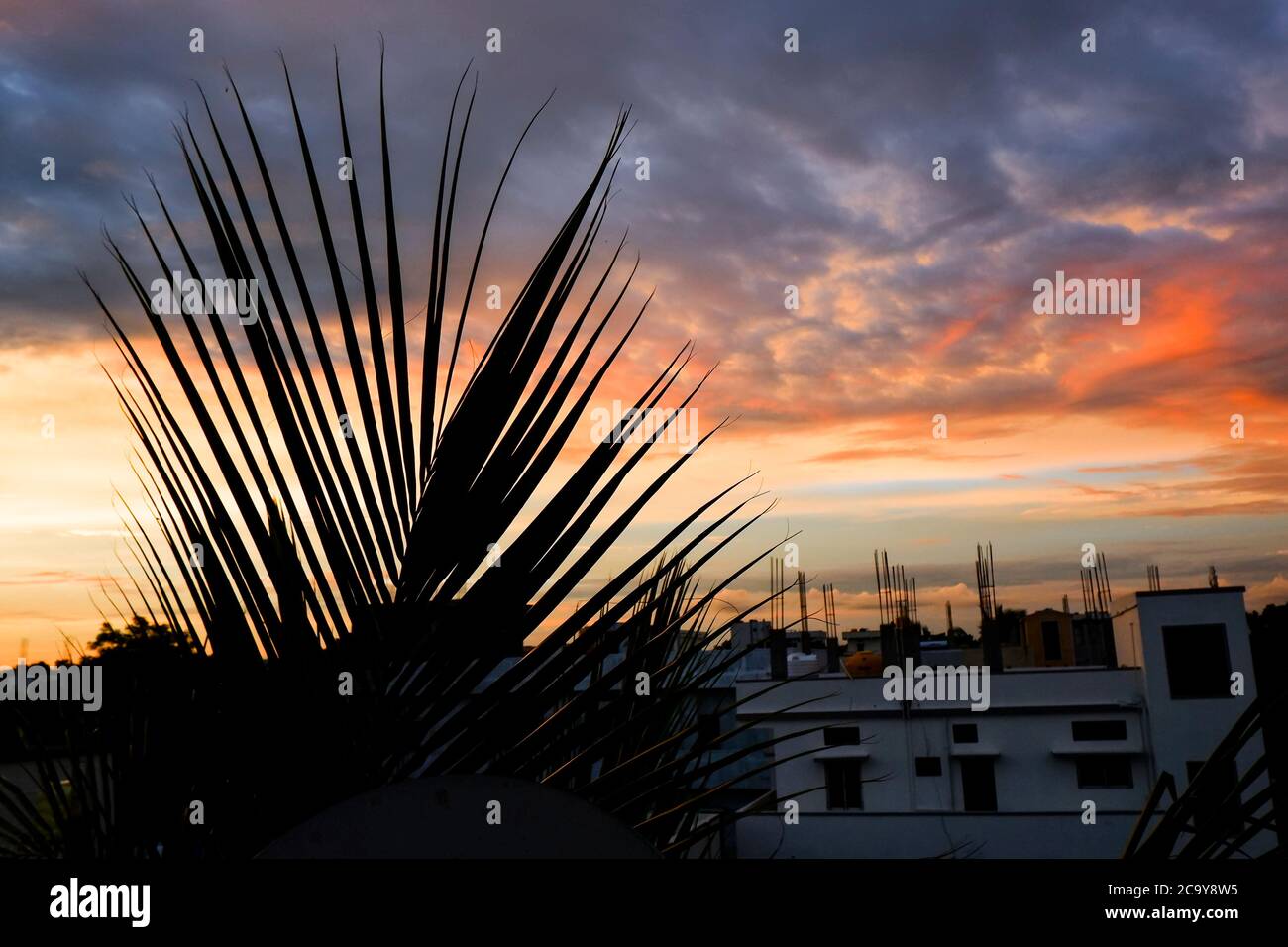 Eine Nahaufnahme von Palmen Blätter Silhouette zurück Sonnenuntergang bunte Wolken & Gebäude Stockfoto