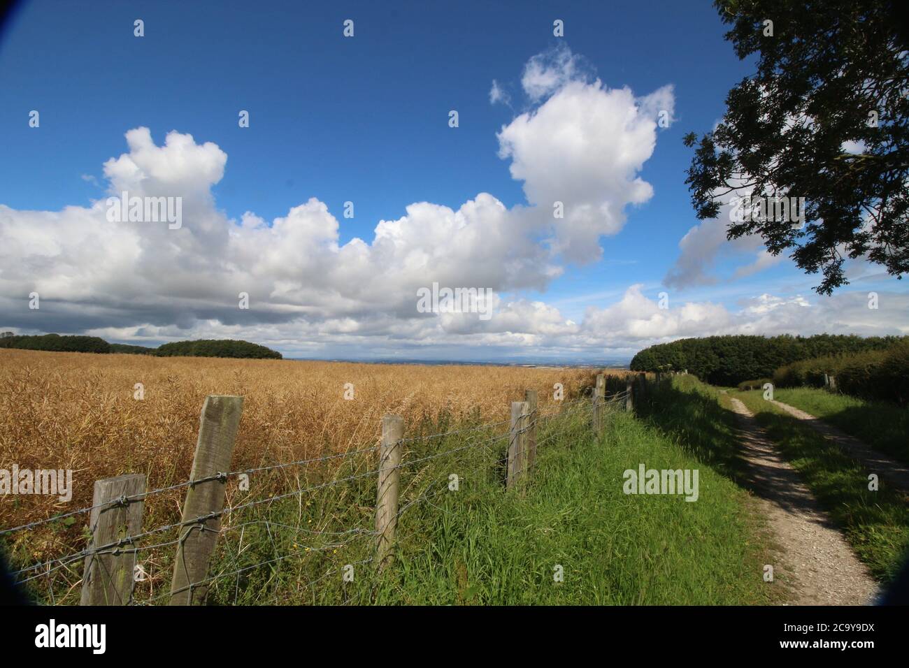 Yorkshire Wolds, England. Eine unentdeckte Region. Stockfoto