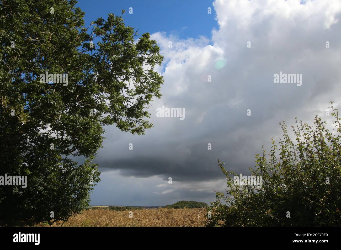 Yorkshire Wolds, England. Eine unentdeckte Region. Stockfoto