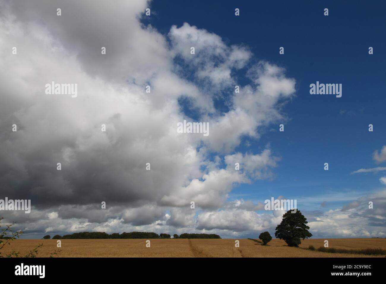 Yorkshire Wolds, England. Eine unentdeckte Region. Stockfoto