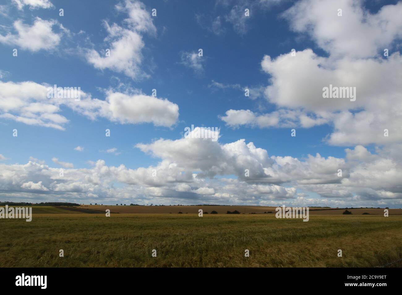 Yorkshire Wolds, England. Eine unentdeckte Region Stockfoto