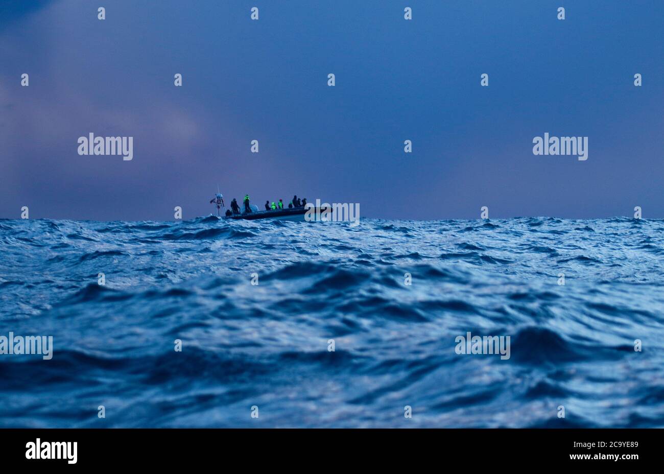 Touristische Expedition auf der Suche nach Orcas in Andenes, Andoya Insel, Vesteralen, Norwegen, Skandinavien, Europa Stockfoto