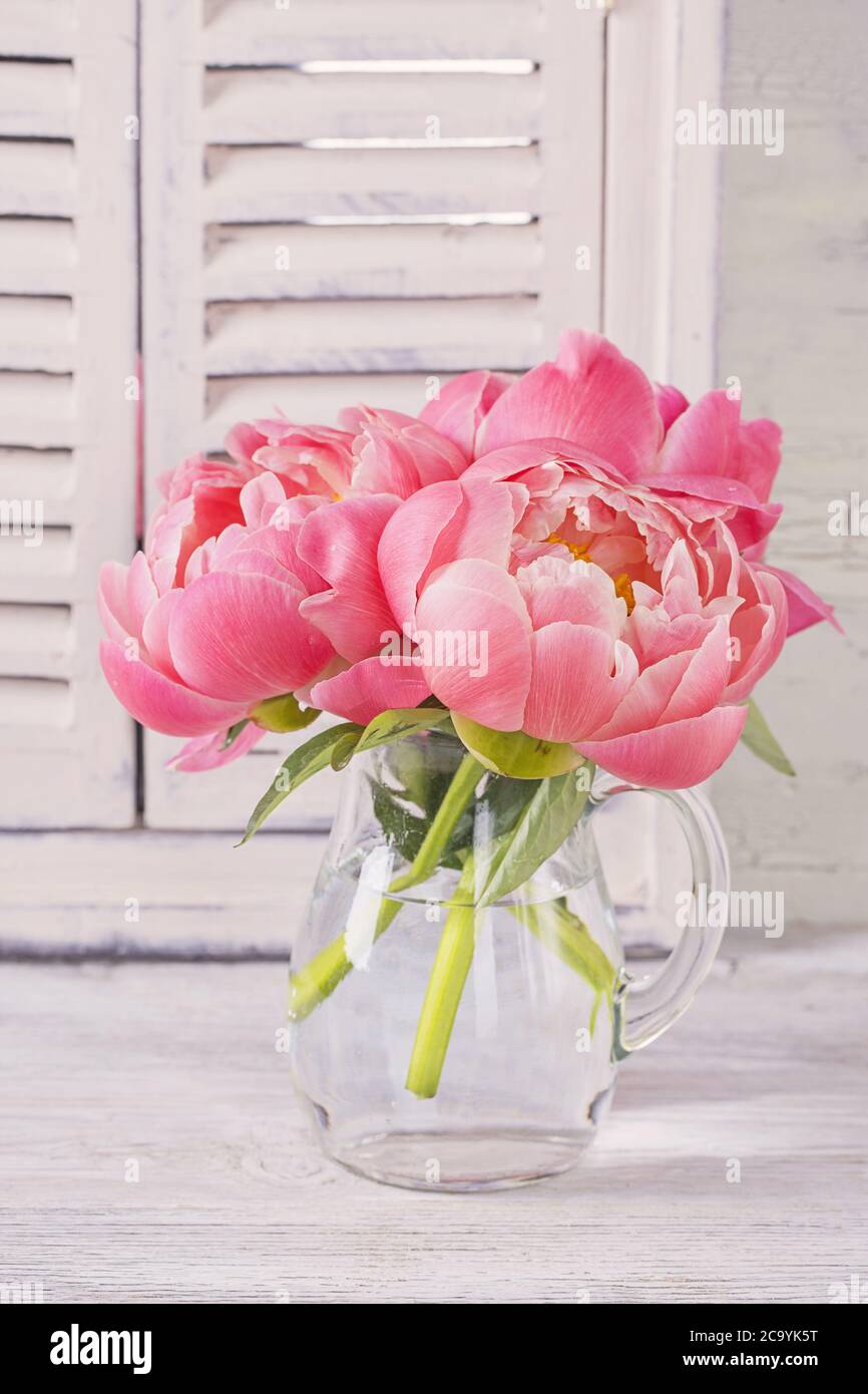 Pfingstrose Blumen in einer weißen vase Stockfoto