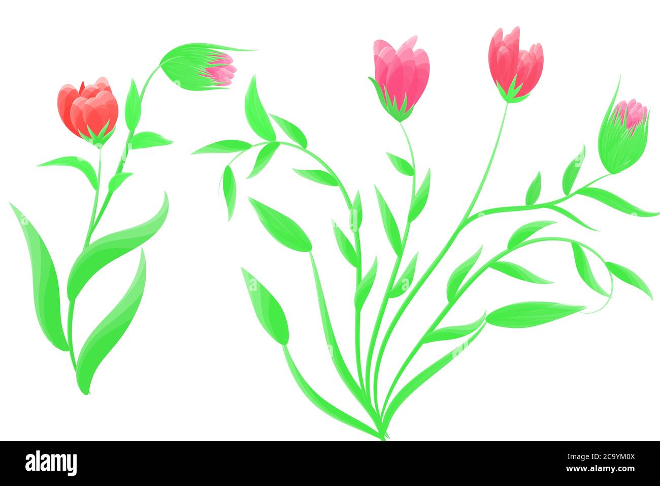 Zeichnen Blumen Vektor Bild rote Blumen und weißen Hintergrund Stockfoto