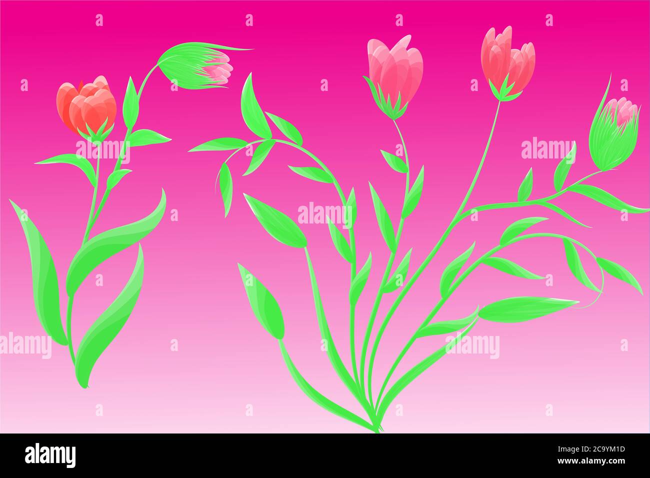 Zeichnen Blumen Vektor Bild rote Blumen und rosa Hintergrund Stockfoto