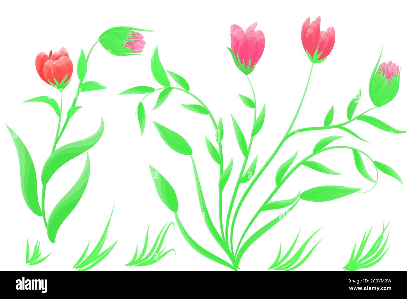 Zeichnen Blumen Vektor Bild rote Blumen und weißen Hintergrund Stockfoto