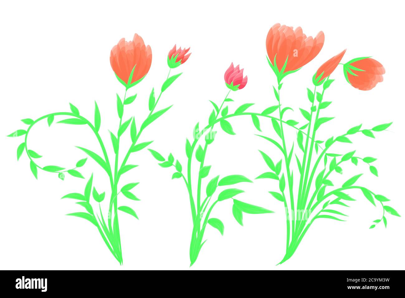 Zeichnen Blumen Vektor Bild rote Blumen und weißen Hintergrund Stockfoto