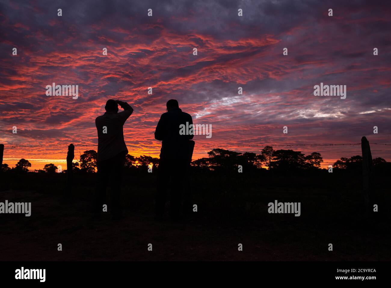Fotografen, die den Sonnenuntergang in Nord Pantanal, Brasilien, festhalten Stockfoto
