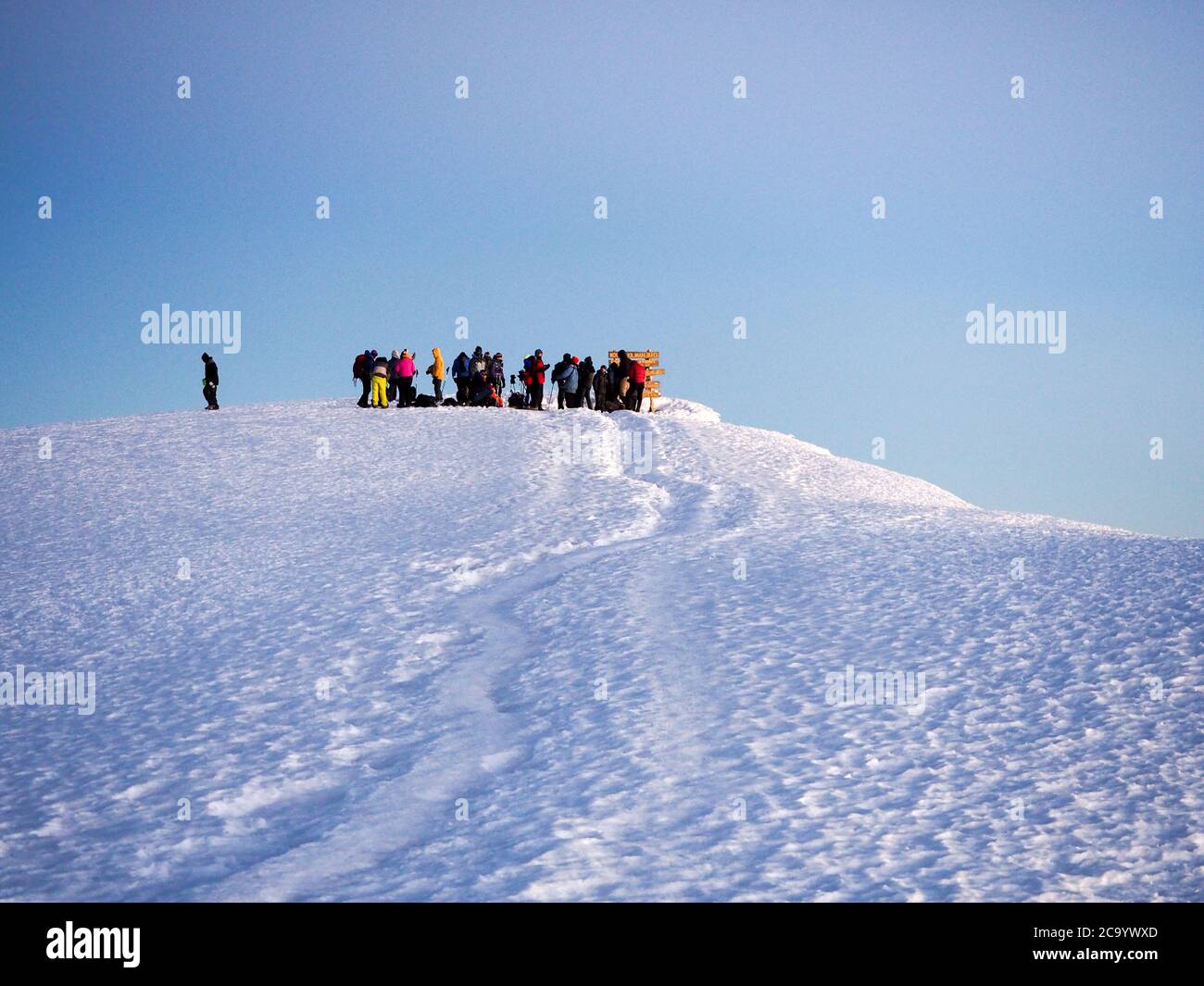 Wanderer auf dem Grat besteigen den kilimandscharo, den höchsten Gipfel Afrikas. Stockfoto