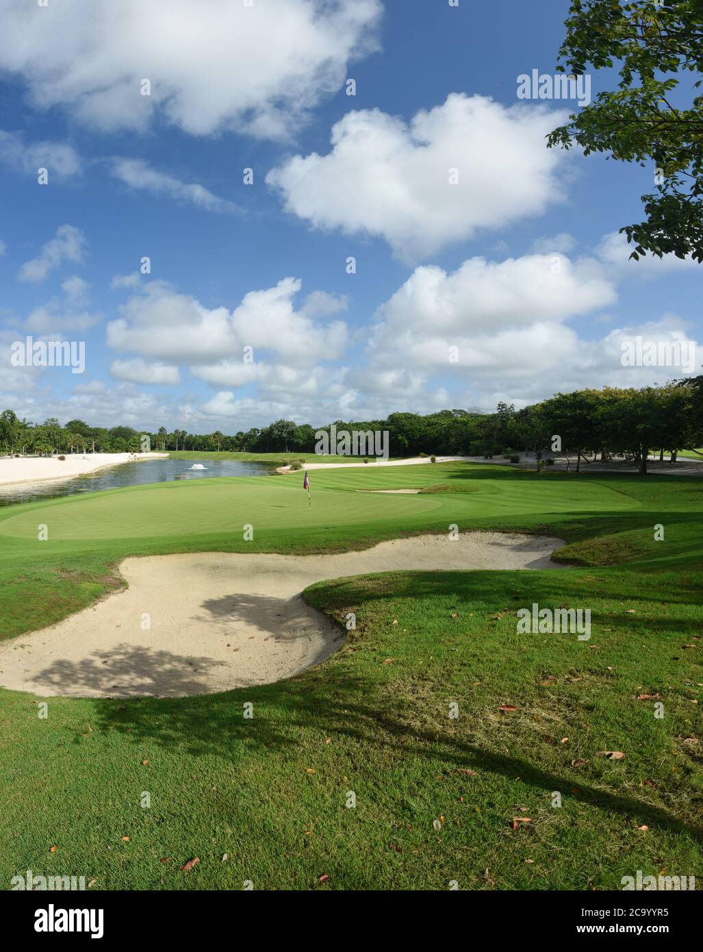 Super Panorama-Foto-Golfplatz in Playa del Carmen, Mexiko - ideales Bild für Hintergrund von verschiedenen Anwendungen, vertikale Bildschirmausrichtung Stockfoto