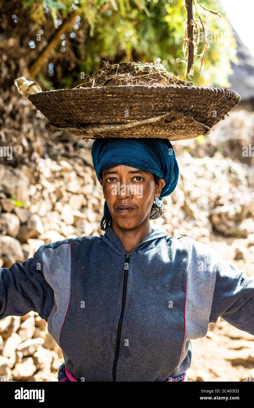 Frau mit Korb auf dem Kopf, Wollo Provinz, Amhara Region, Äthiopien, Afrika Stockfoto