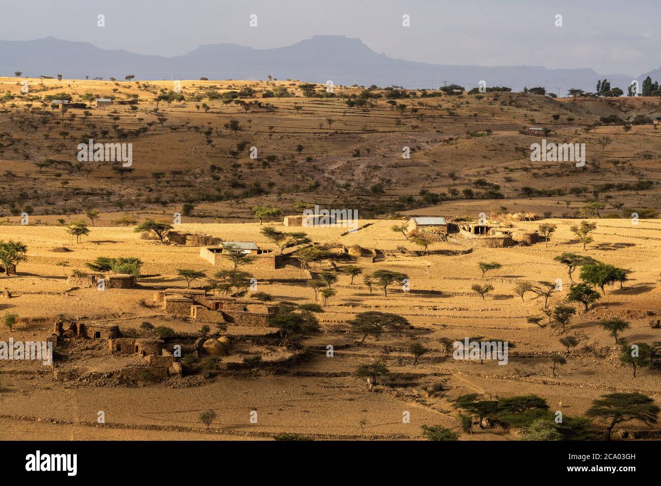 Steinhütten und Bäume im Dorf zu Füßen der Gheralta Berge, Tigray Region, Äthiopien, Afrika Stockfoto