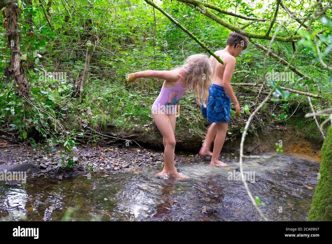 Mädchen und Jungen im Sommerurlaub nach der Sperre spielen in einem Bach in der grünen bewaldeten Landschaft in Carmarthenshire Wales UK KATHY DEWITT Stockfoto