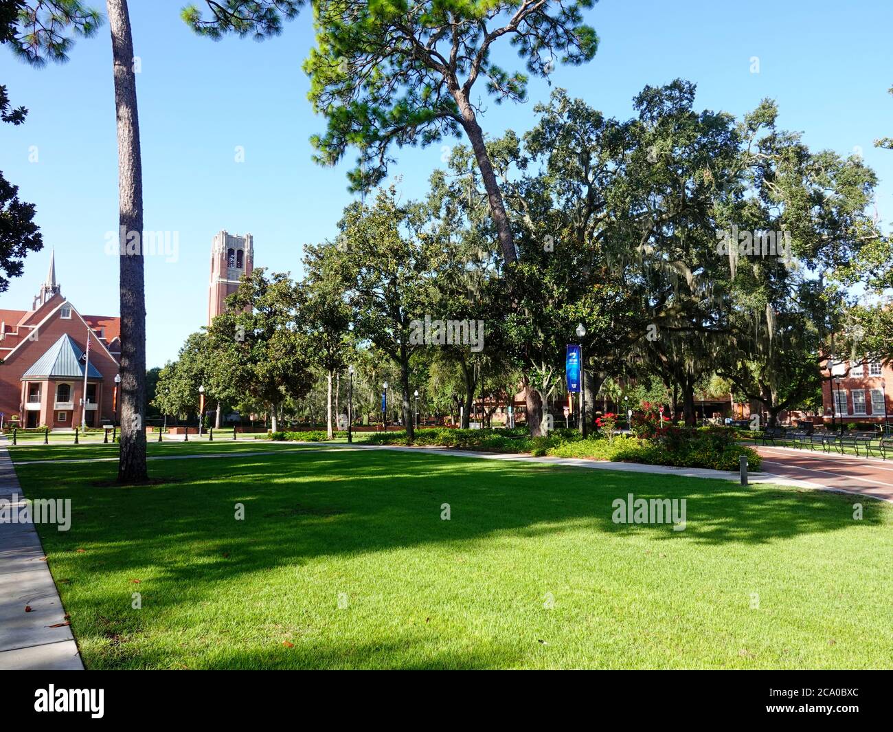Leere Mitte des Sommers, Plaza of the Americas, University of Florida inoffizielle Treffpunkt, wo Studenten, Besucher Ideen präsentieren, entspannen und mischen. Stockfoto