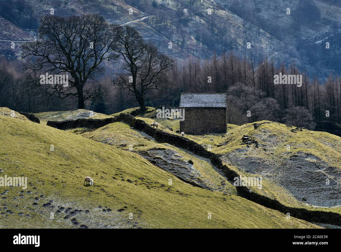 Bell Hagg Barn, The Peak District, England. Stockfoto