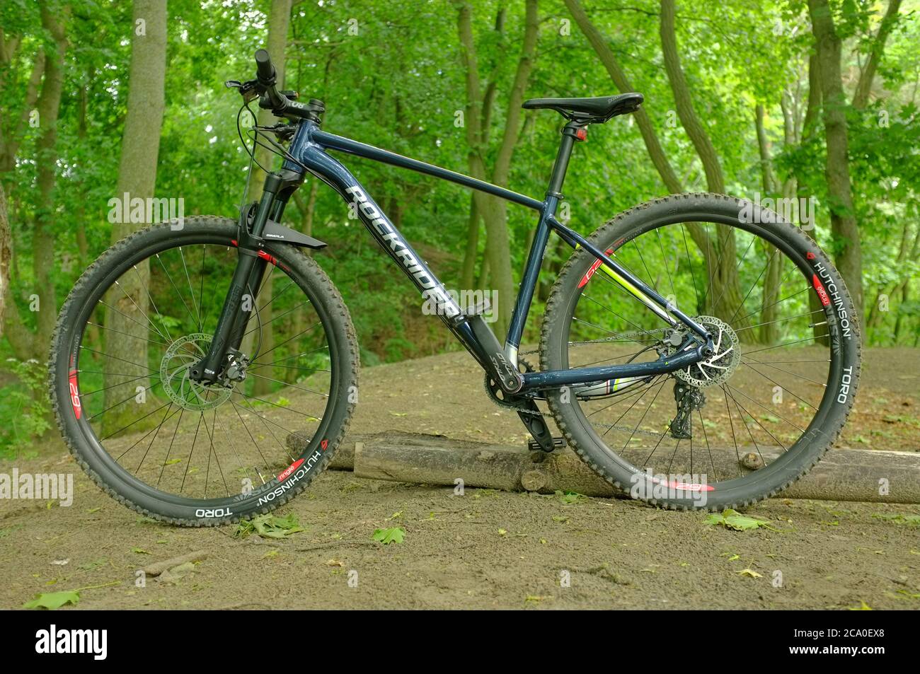 Mountainbiken im grünen Wald Stockfoto