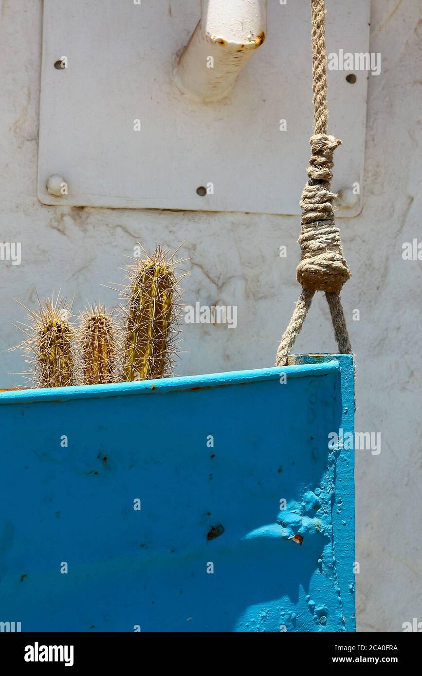 Kakteen Pflanzen in einem blauen Boot geformten Topf, an einem weißen Gebäude mit nautischen Seilen befestigt. Gesehen in Playa Blanca, Lanzarote. Stockfoto