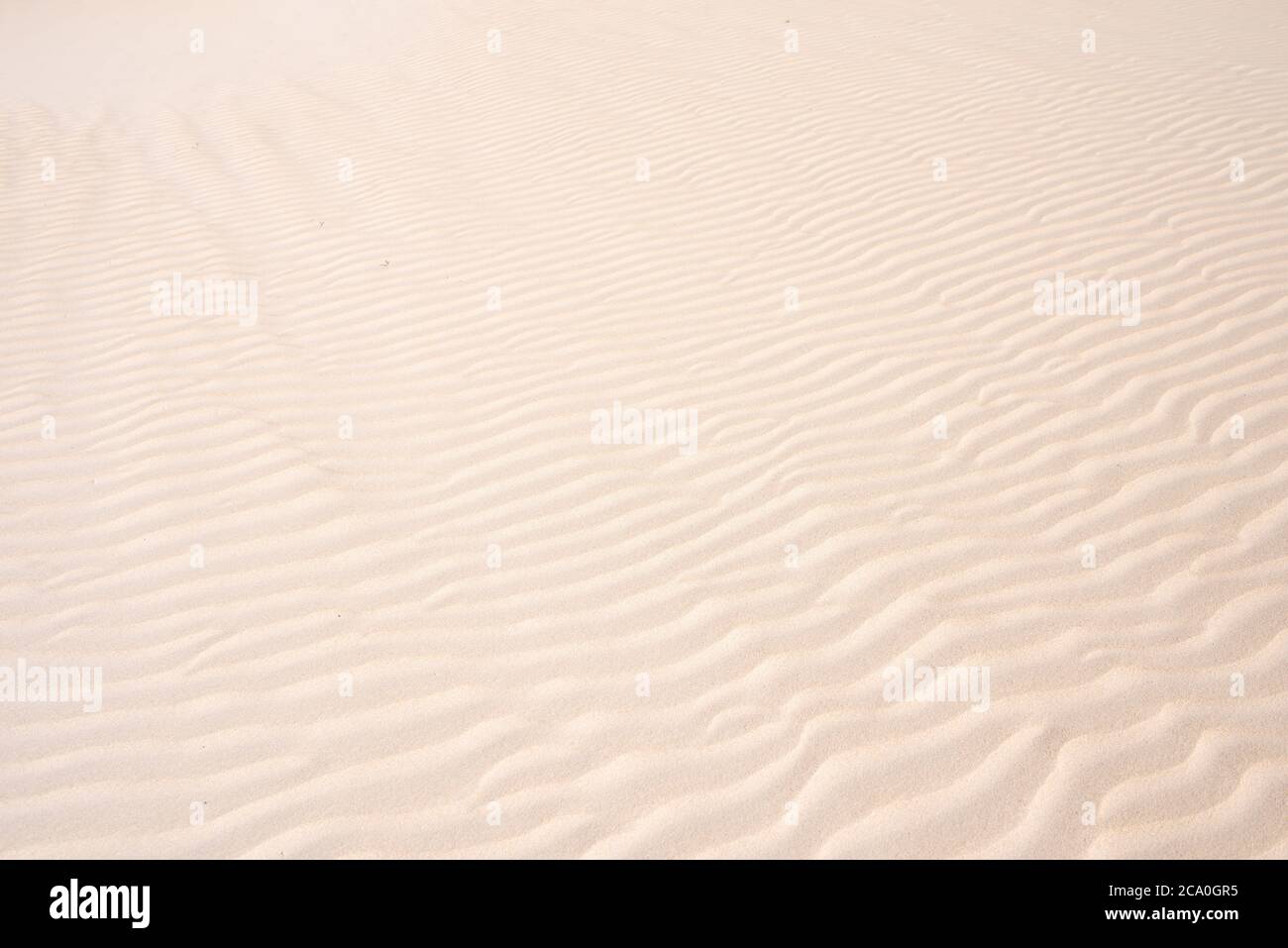 Goldener Sand in der Düne, Sandhintergrund in der Wüste Stockfoto