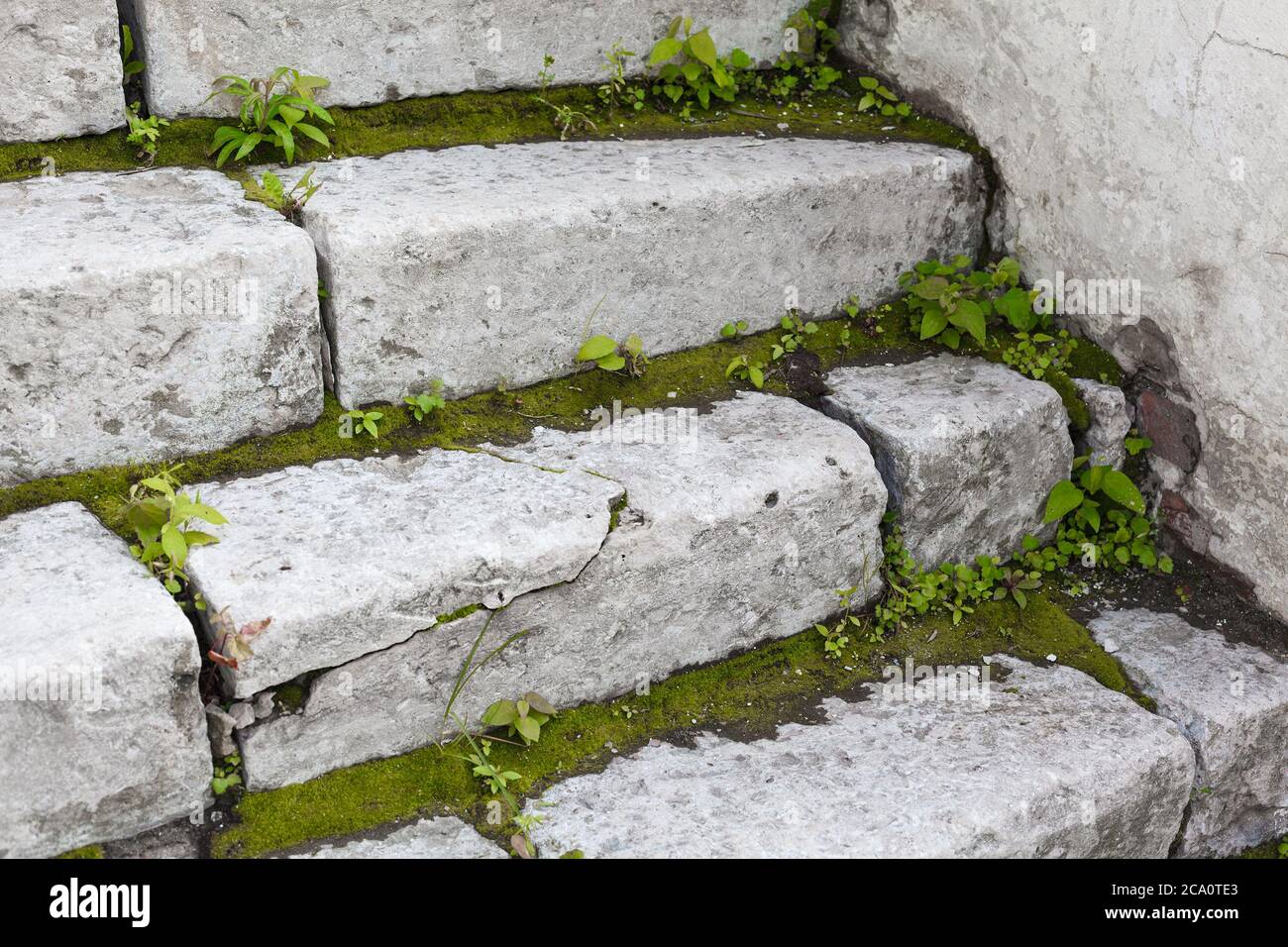 Alte weiße Steintreppe mit Grün zwischen den Stufen in der Nähe Stockfoto