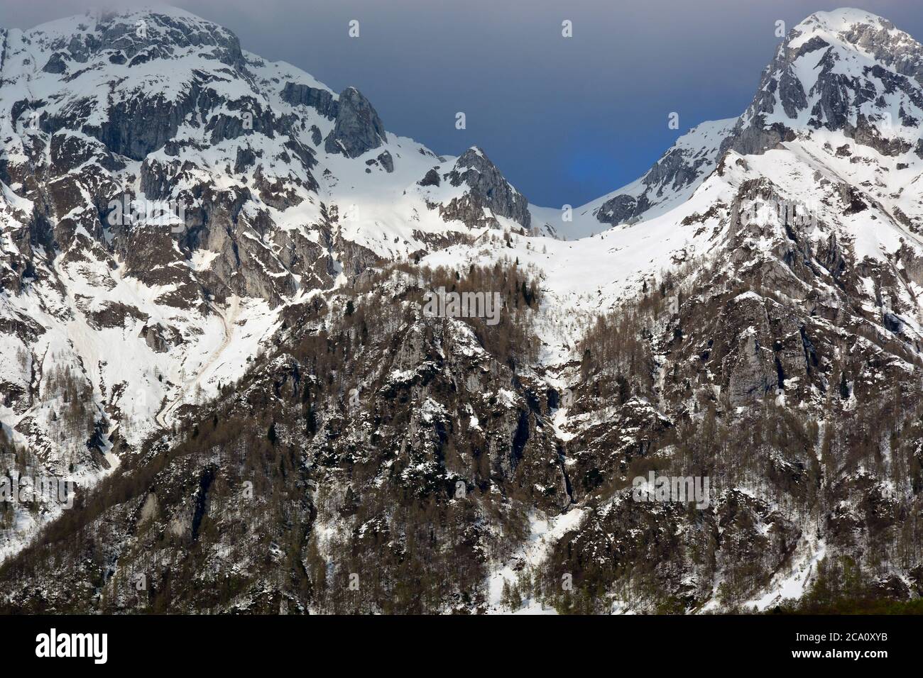 Der erste Schnee auf den Alpago Bergen, in der Provinz Belluno, Italien Stockfoto