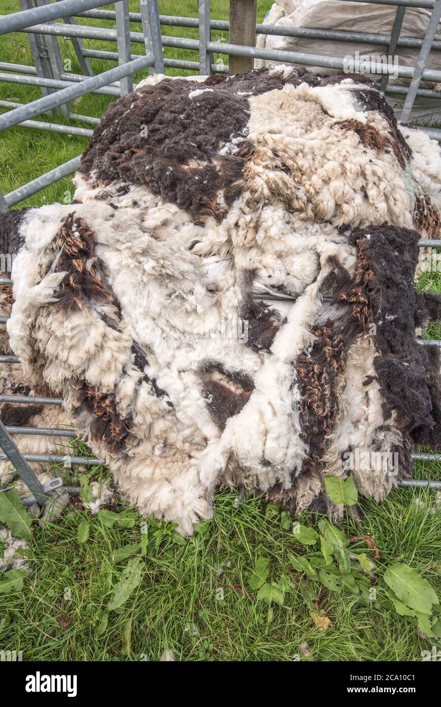 Sehr preisl Stockfoto