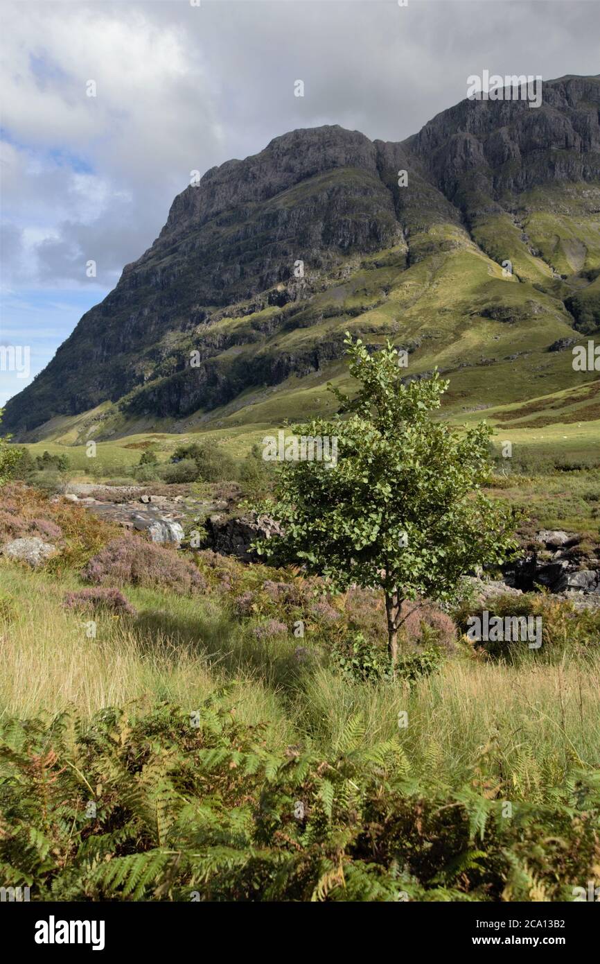 Glencoe in Scottish Highlands im Sommer, Schottland, Großbritannien Stockfoto