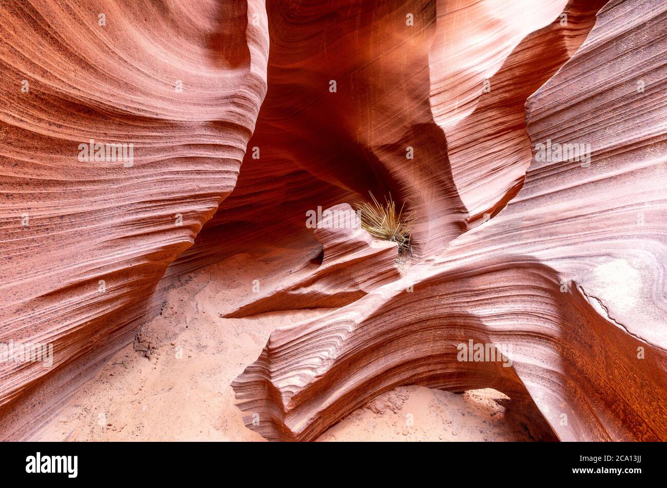 Landschaft mit erodierten Sandstein in Licht und Schatten bilden komplizierte Formen in Slot Canyon in Page,... Stockfoto
