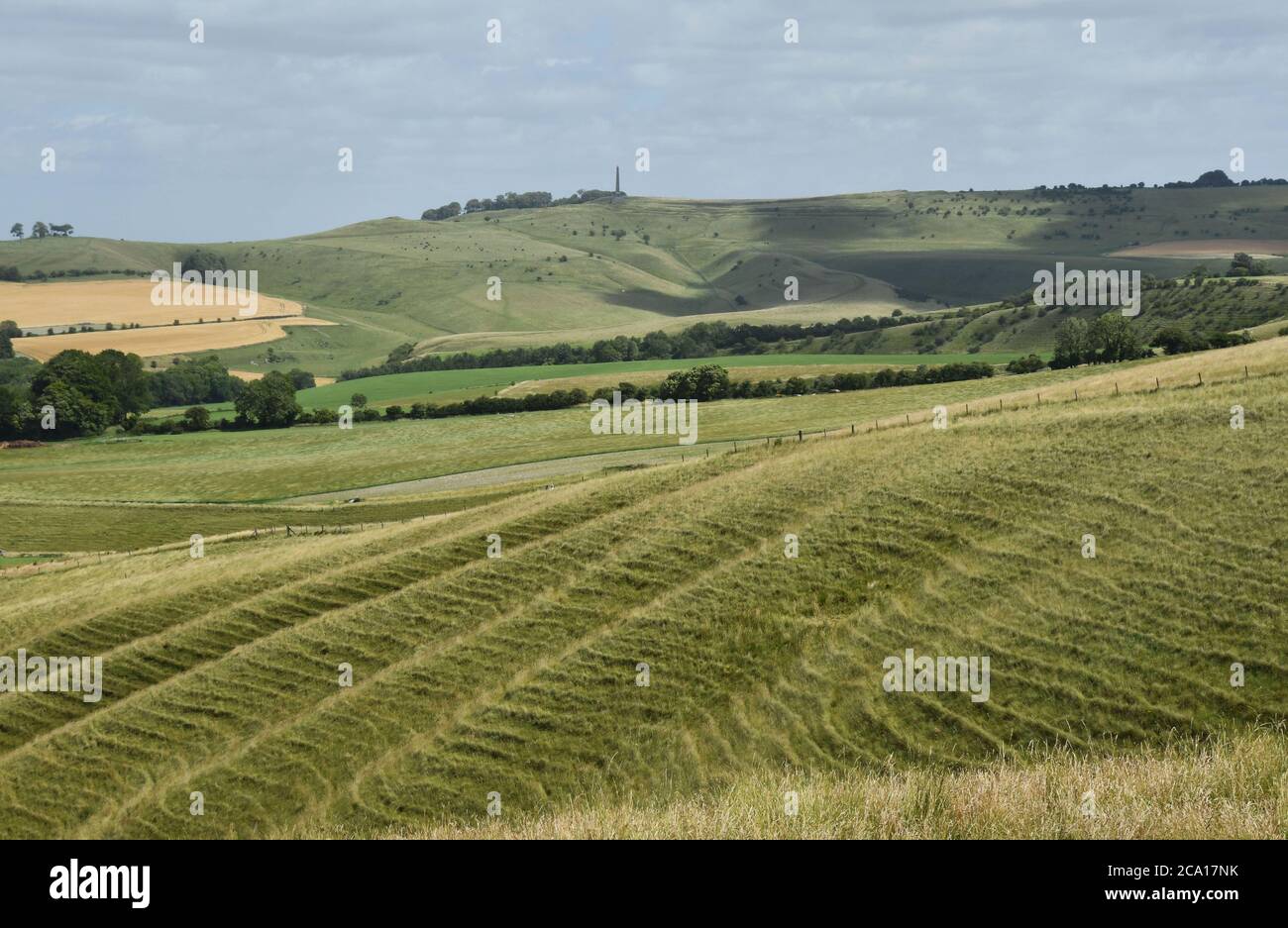 Blick vom Morgans Hill auf das Lansdowne Monument auf Cherhill Down mit Calstone Down im Vordergrund,Wiltshire.UK Stockfoto