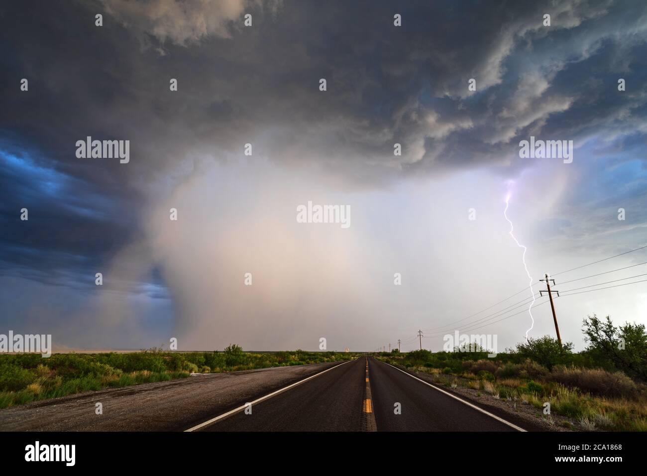 Die Straße führt zu einem starken Monsunsturm mit dramatischen Wolken, starkem Regen und Blitzen über der Willcox Playa im Südosten von Arizona Stockfoto