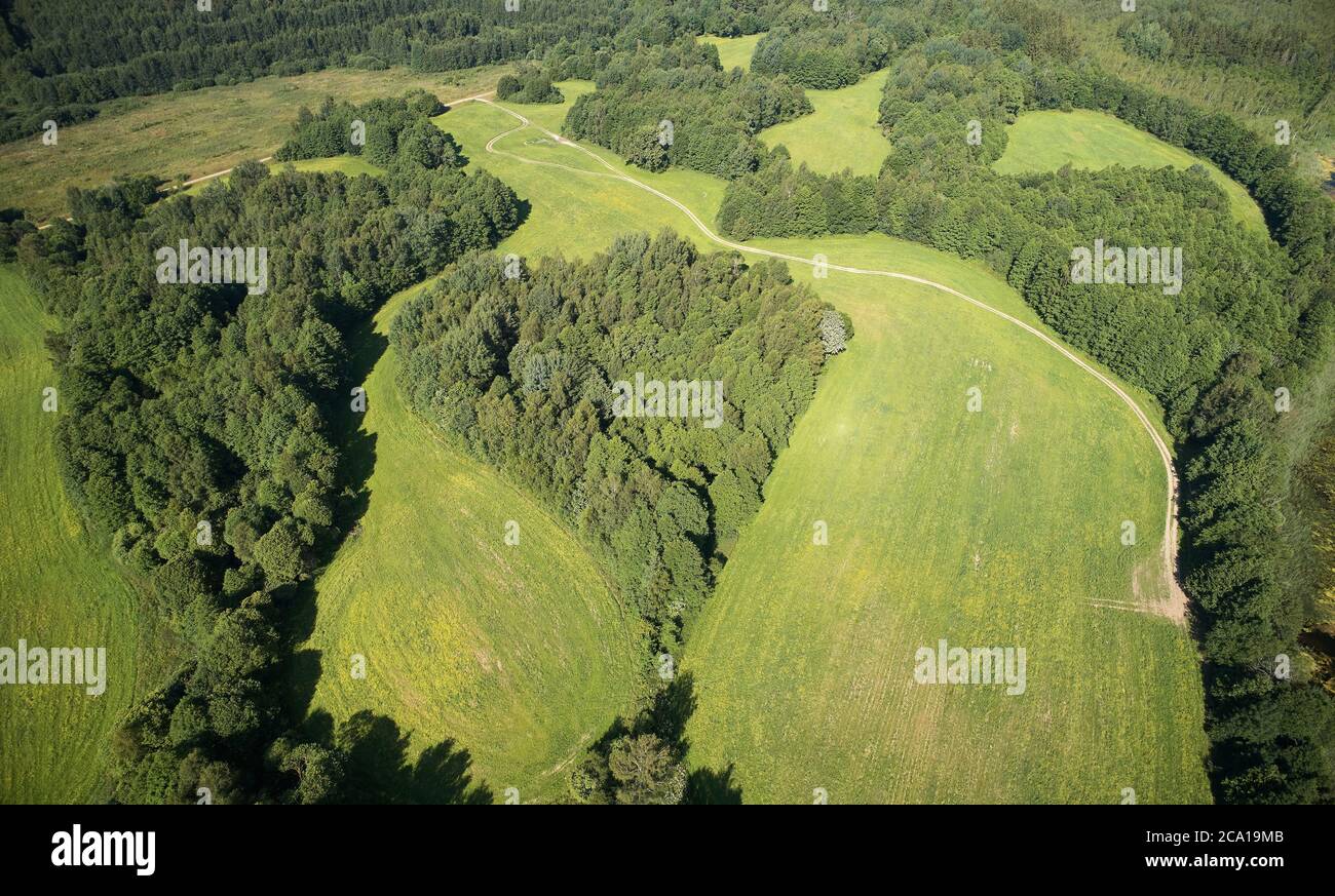 Herz Form Wald im grünen Feld Luftdrohne Ansicht Stockfoto