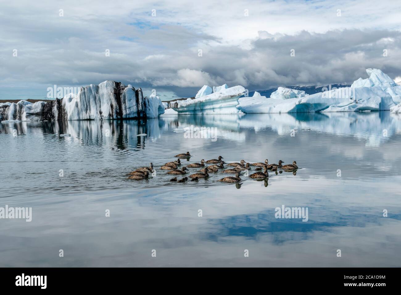 Jökulsárlón Gletscherlagune Island Stockfoto