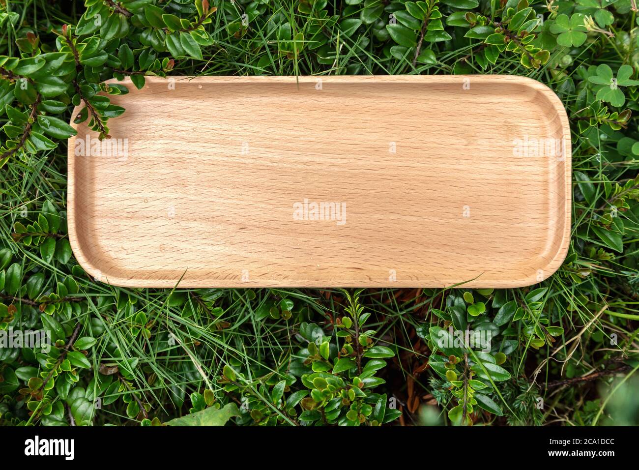 Holzständer auf grünem Gras. Leere Holzkapazität Draufsicht. Stockfoto