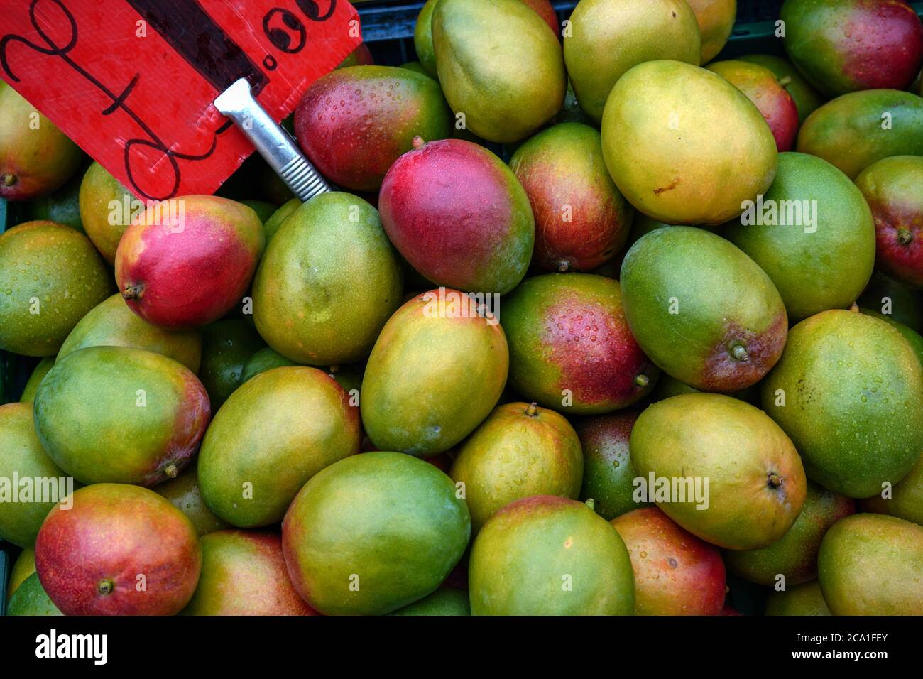 Rote und grüne Mango auf dem Lebensmittelmarkt in Lewisham, London Stockfoto