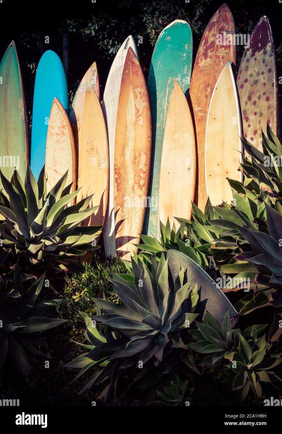 Ein vertikales Line-up von pensionierten, grungigen, Vintage Surfbrettern in einem Agavengarten in Südkalifornien Stockfoto