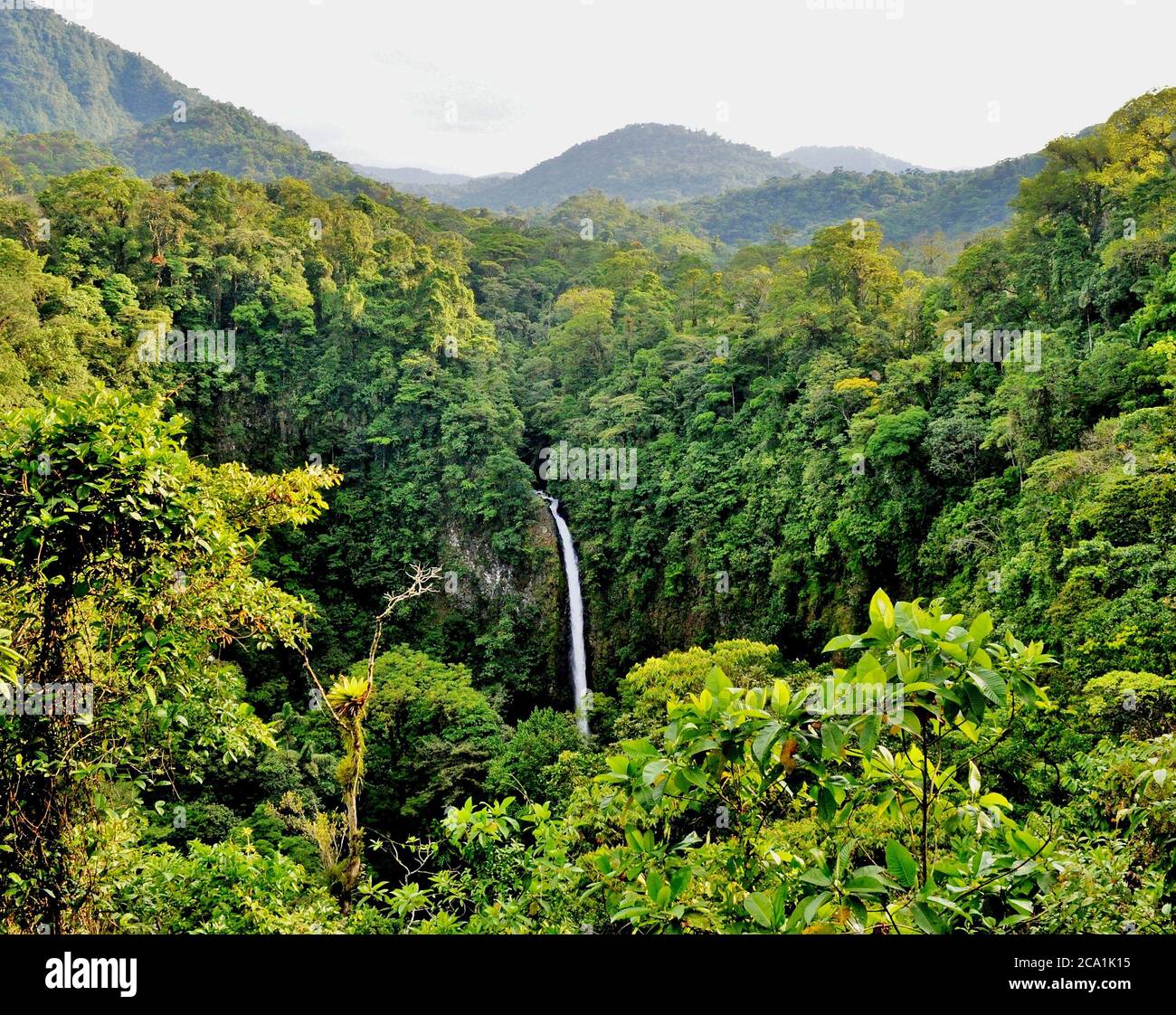 Costa Rico Regenwald Wasserfall Stockfoto