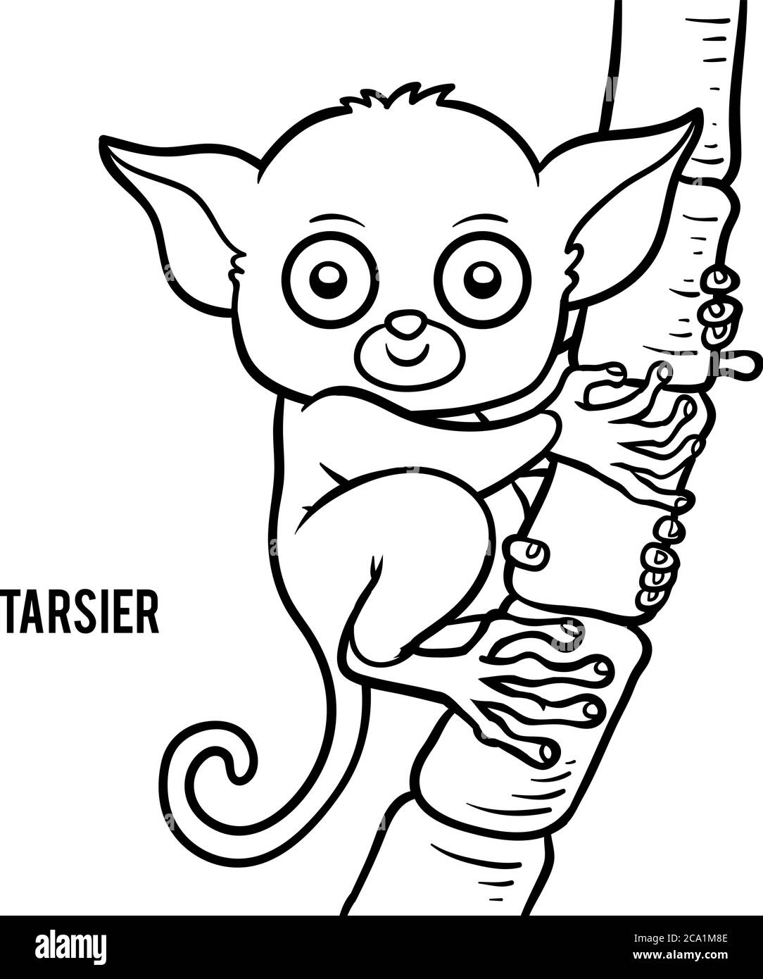 Bild für Kinder, Tarsier Stock Vektor