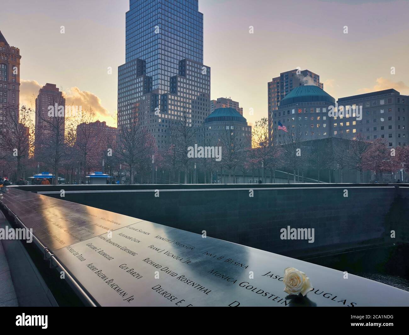 9/11 Denkmal in New York, USA mit weißer Blume im Vordergrund und Wolkenkratzern im Hintergrund Stockfoto