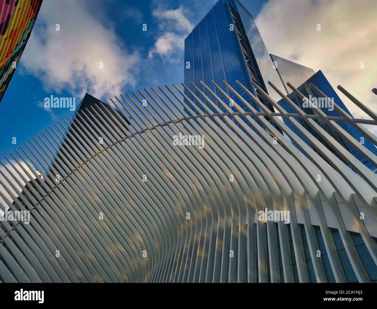 World Trade Center Transportation Hub ( Oculus) in New York City Financial District Tageslichtaufnahme Außenansicht aus tiefem Winkel Nahaufnahme Stockfoto