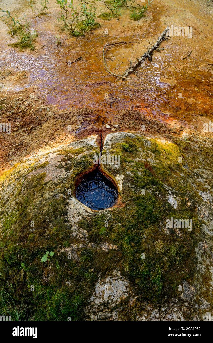 The Soda Fountain, Mineral Spring, Wells Gray Provincial Park, British Columbia, Kanada Stockfoto