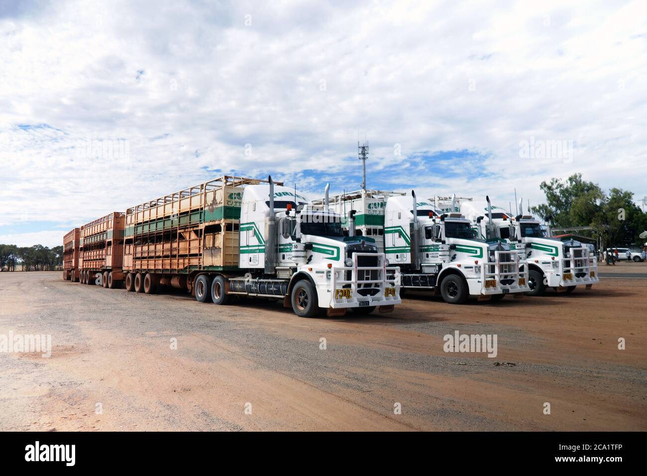 Drei Straßenzüge mit je drei Lastkraftwagen von Rindern, Burke & Wills Developmental Road, Outback Queensland, Australien. Keine PR Stockfoto